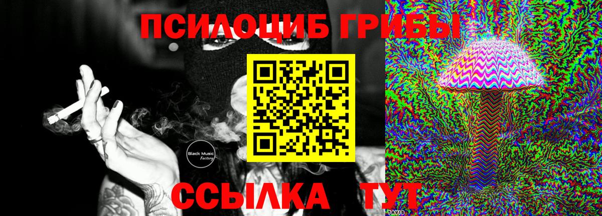 Галлюциногенные грибы Psilocybe  Вход с VPN  Гусь-Хрустальный  Псилоцибиновые грибы мицелий 