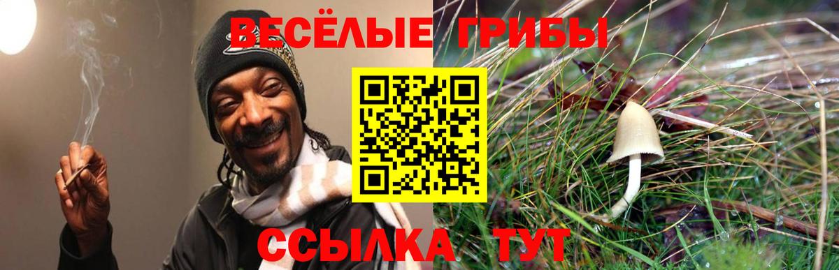 Лсд 25 Гусь-Хрустальный